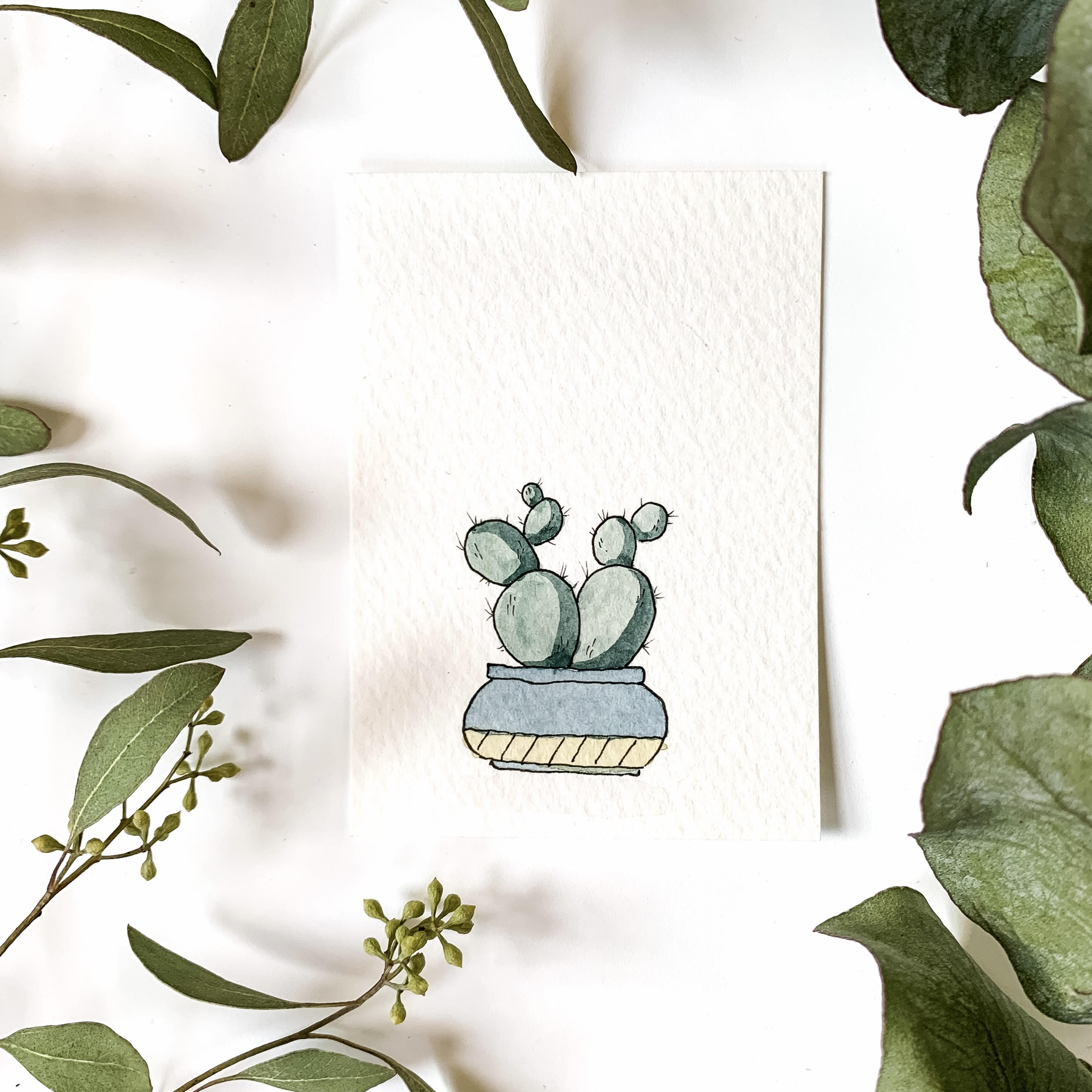 mini watercolor plant cactus