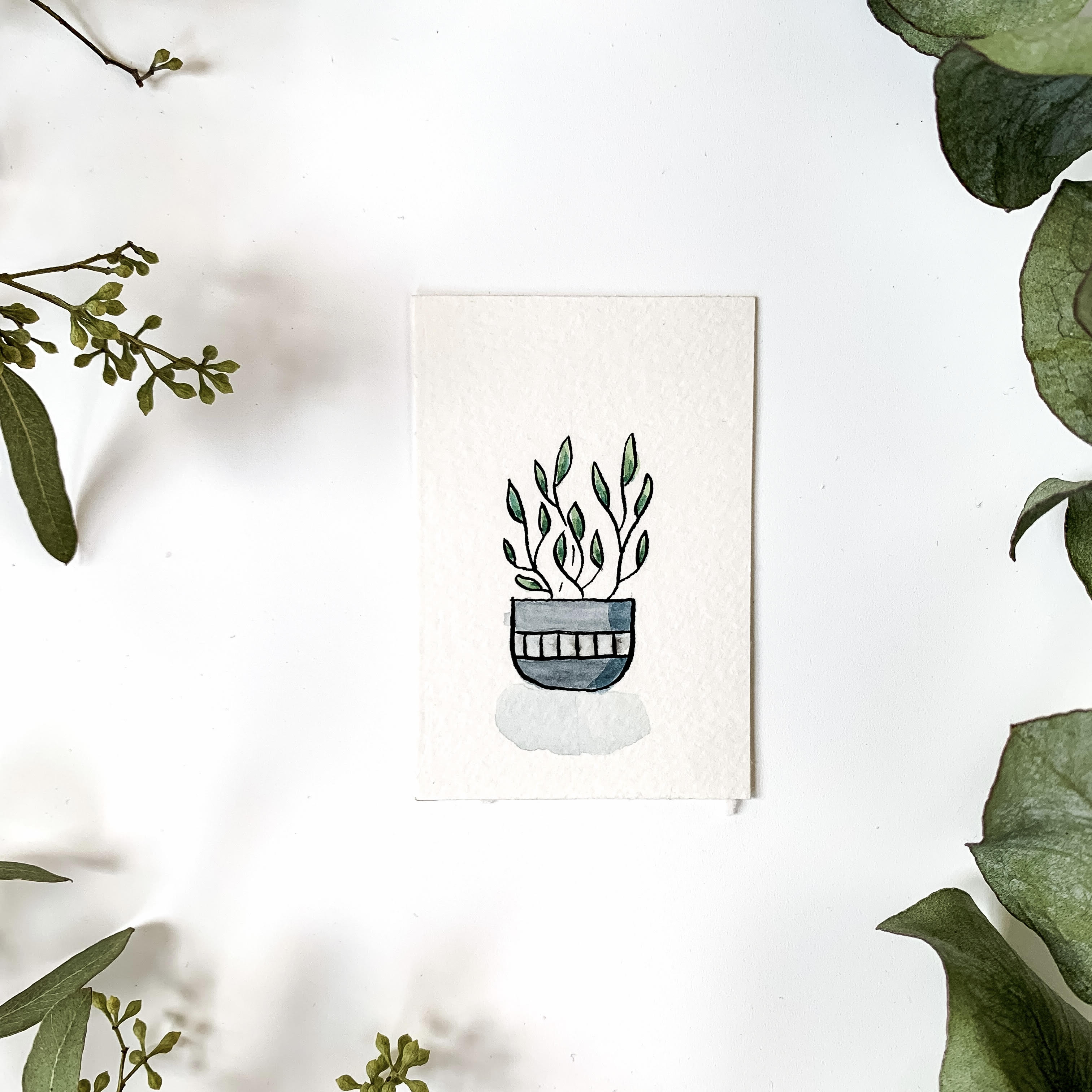 mini watercolor plant