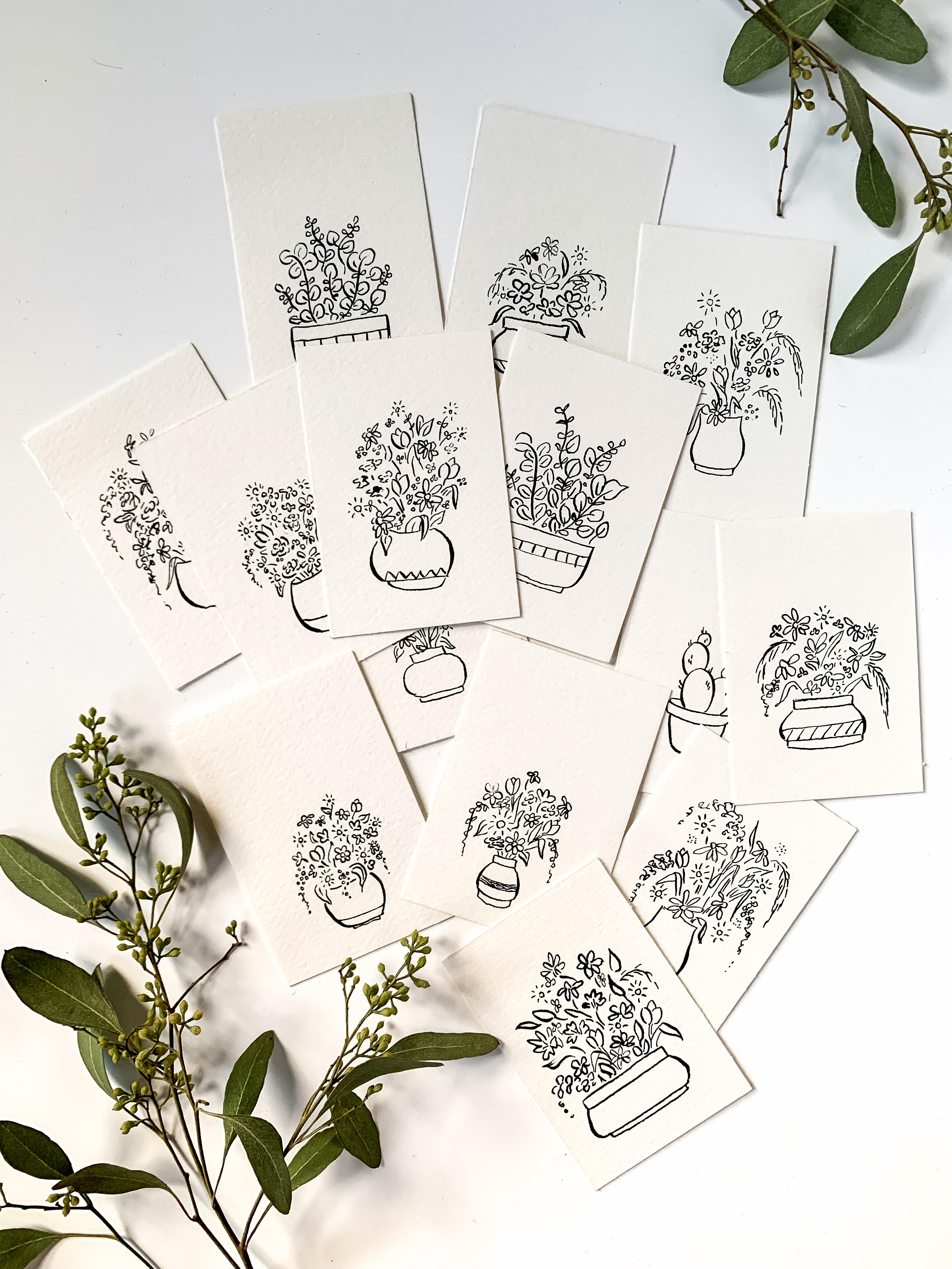 pointed pen and ink plants