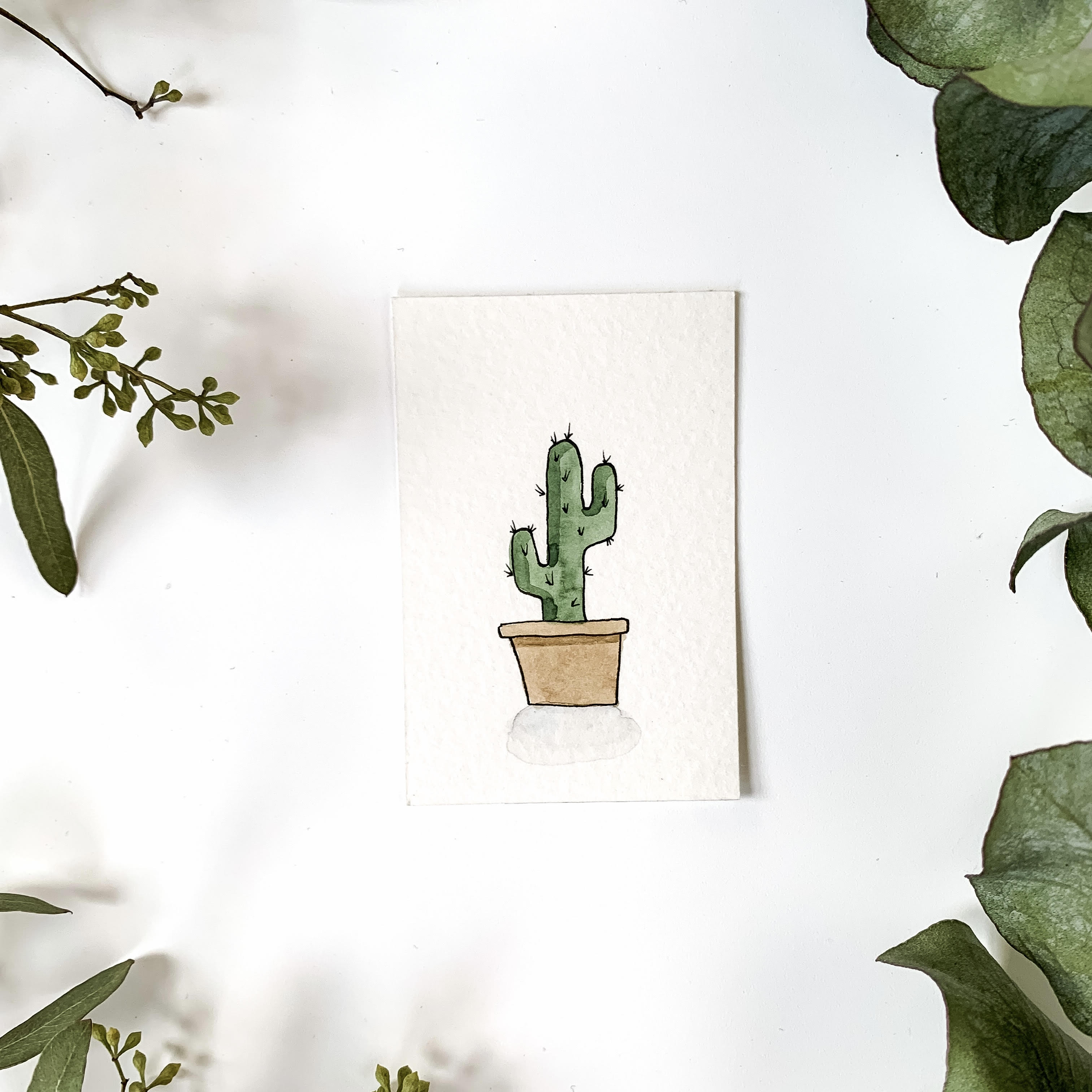 mini watercolor plant cactus
