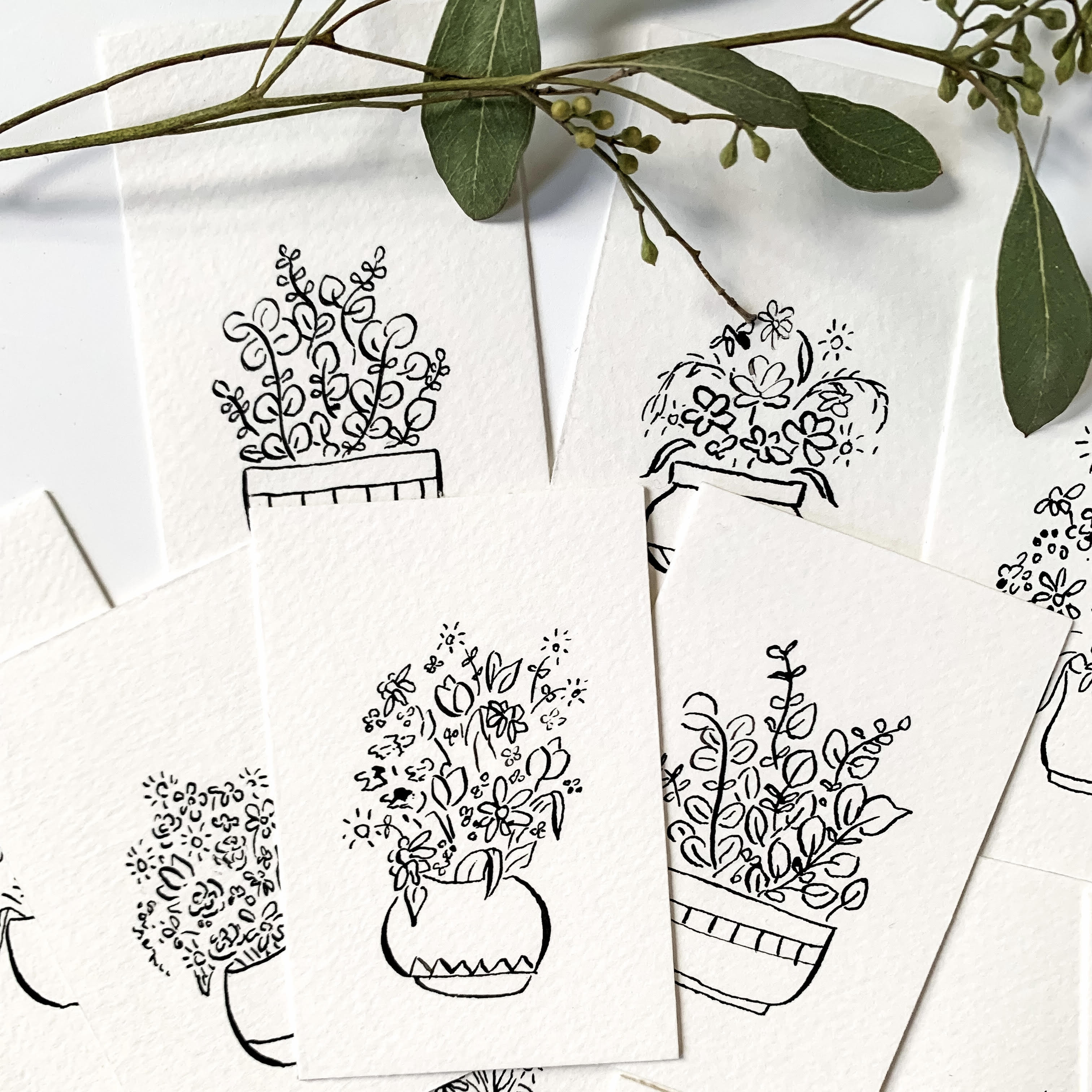 pointed pen and ink plants