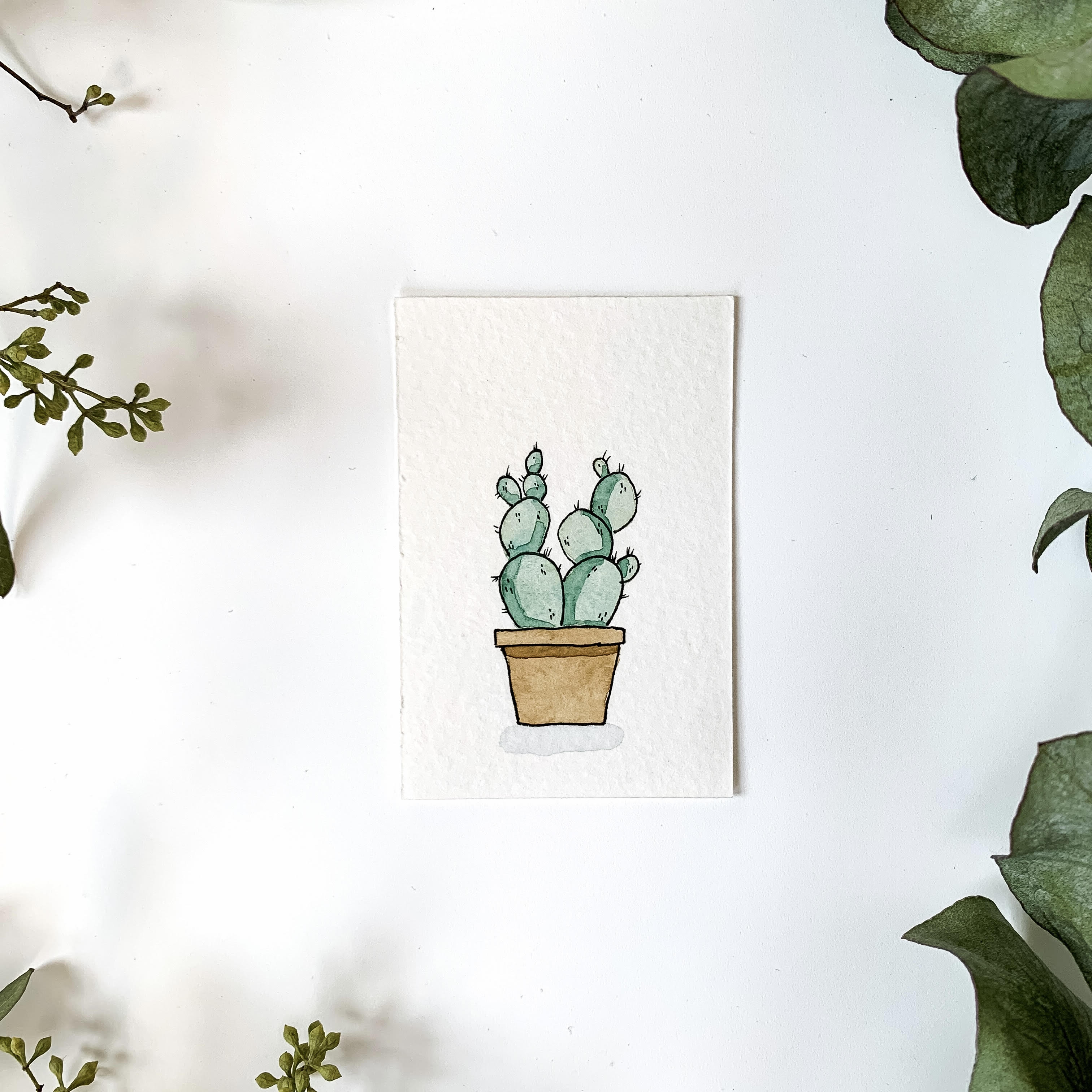Little Watercolor Cactus